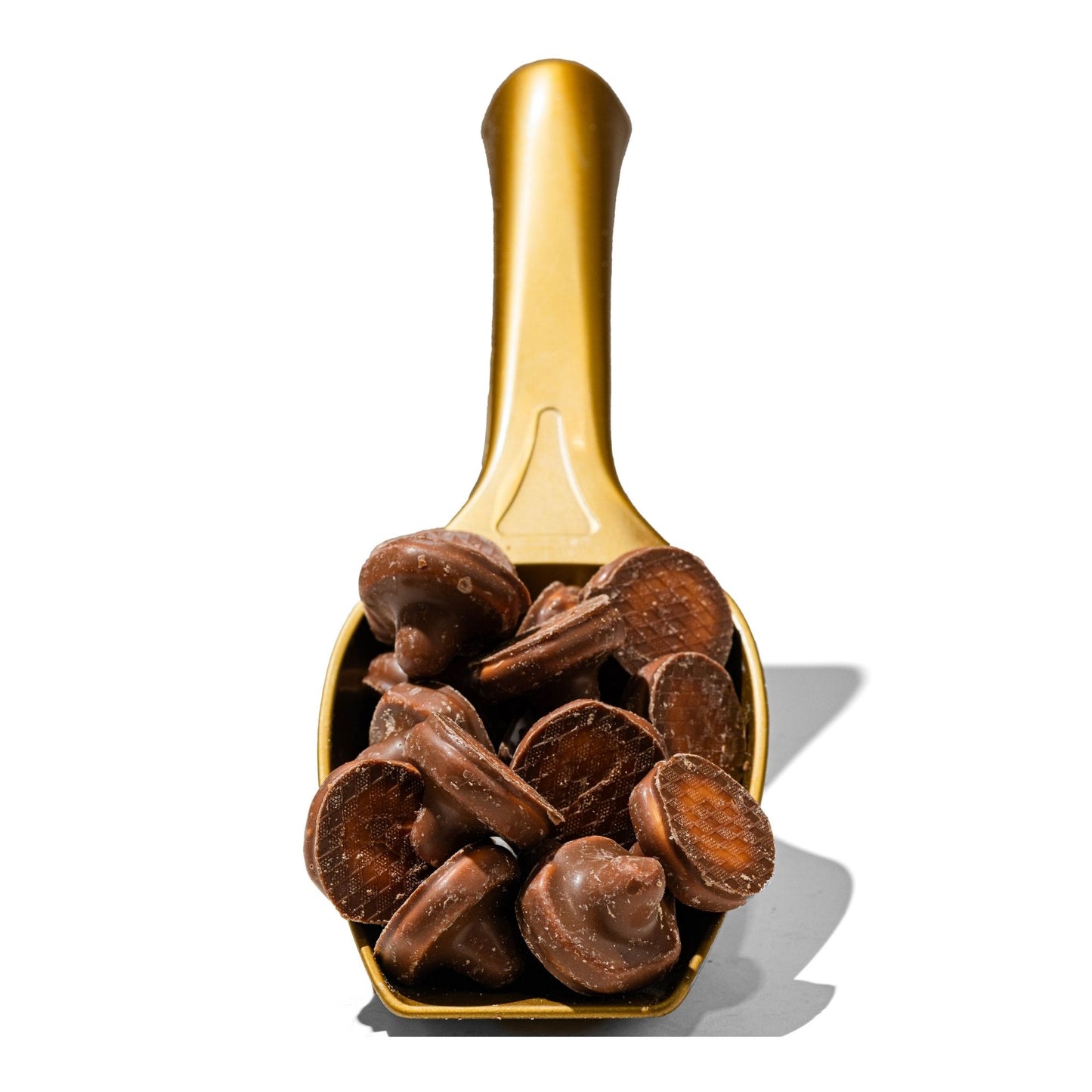 Chocolate Foam Mushrooms