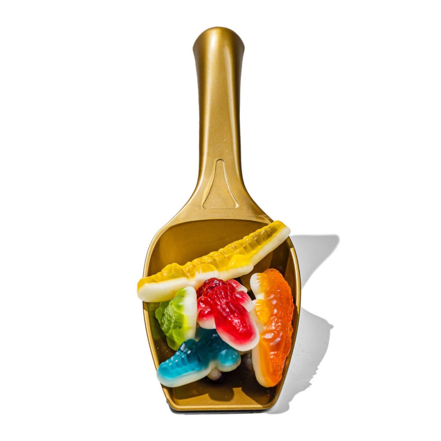 Crocodile Gummies Scoop