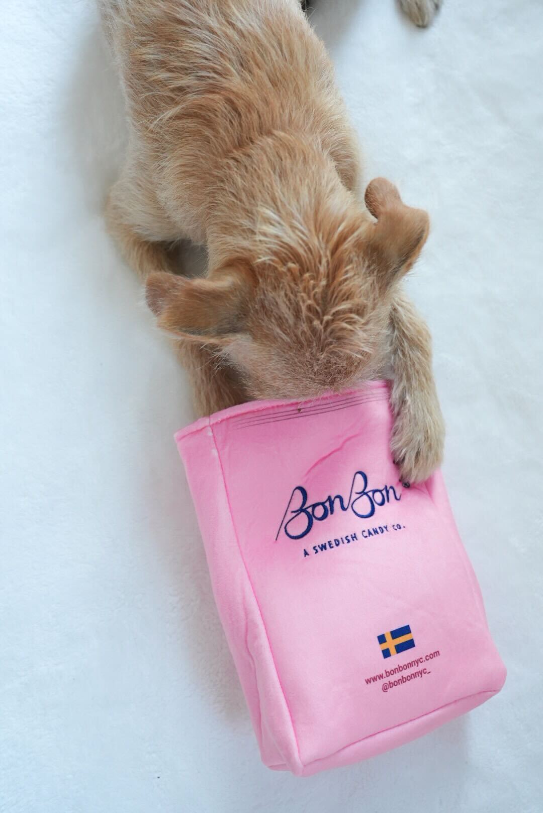 BonBon's Jumbo Dog Toy