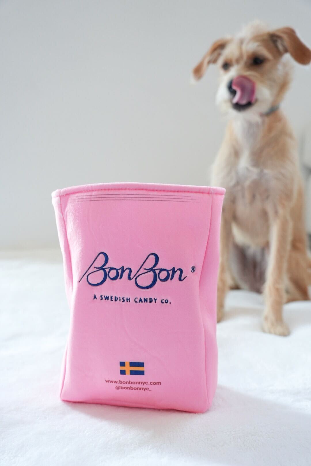 BonBon's Jumbo Dog Toy