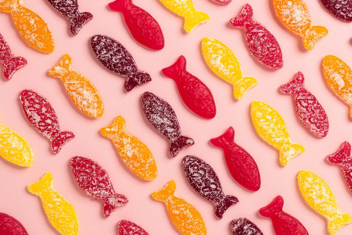 BonBon Original Fish