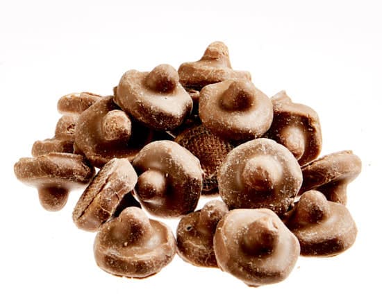 4oz Chocolate Foam Mushrooms (GF)
